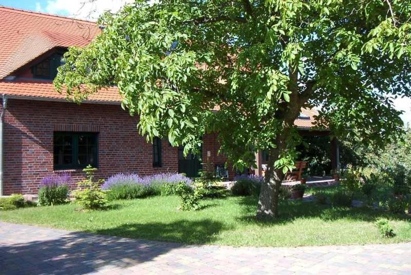 Kraeuter_Landhaus Bad Schmiedeberg Dış mekan fotoğraf